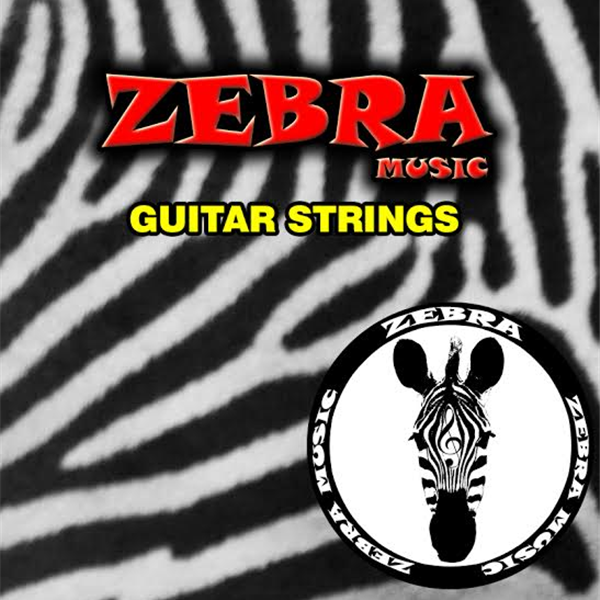 ZEBRA Electric 09-42 - struny do gitary elektrycznej